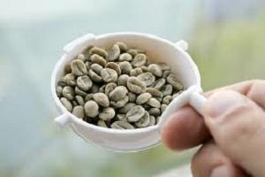 как приготовить зеленый кофе