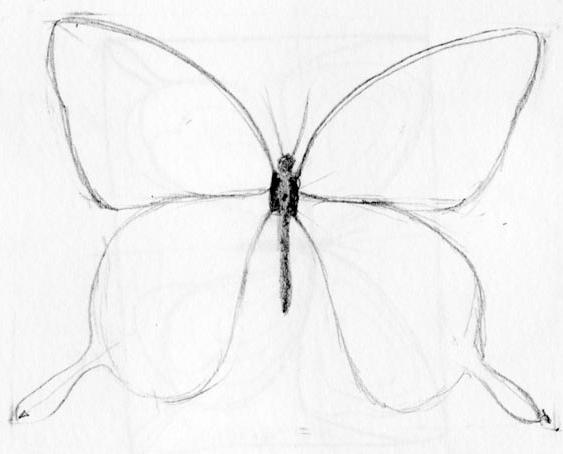 как нарисовать бабочку поэтапно