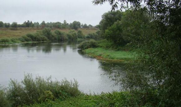 Тула река Упа