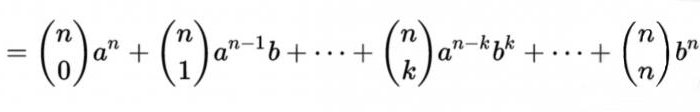 треугольник паскаля формула