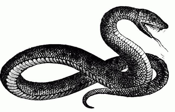 змея и рыба армянская сказка