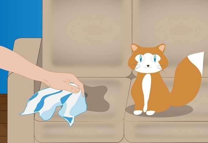 Как устранить запах кошачьей мочи 