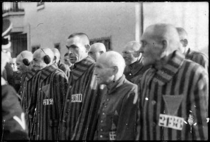 заксенхаузен концентрационный лагерь списки узников 