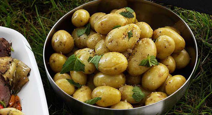 калорийность молодого картофеля вареного в мундире
