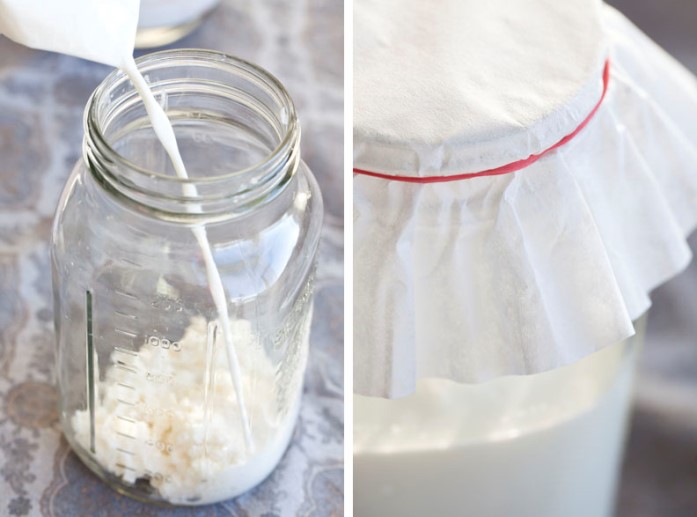 Как сделать домашний кефир из молока? Кефирная закваска с бифидумбактерином