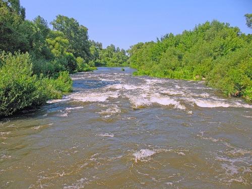 река осетр луховицкий район