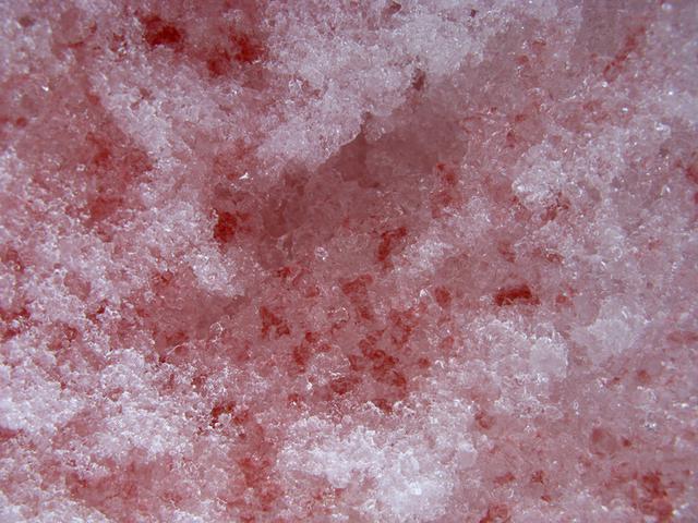 красный снег фото