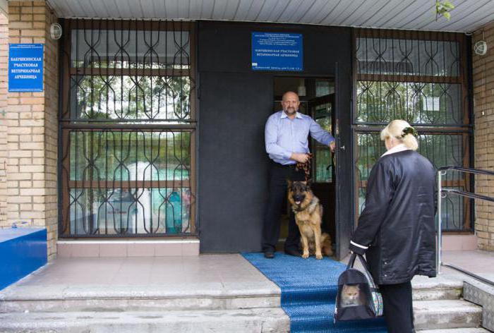 государственная ветеринарная клиника в москве
