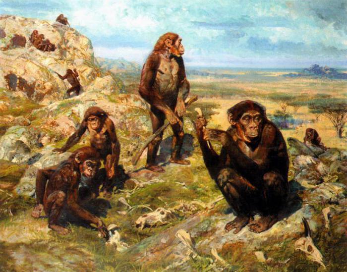 древнейшая ископаемая человекообразная обезьяна