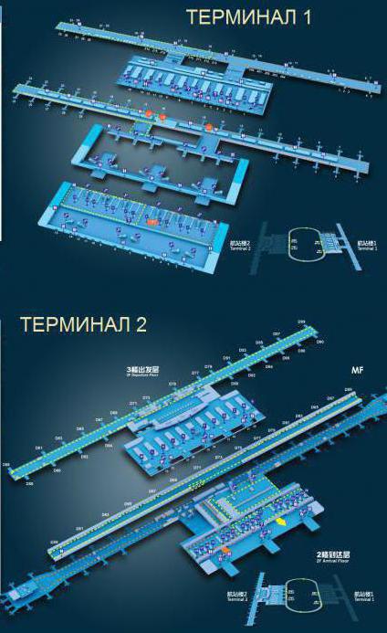Схема аэропорта Шанхая