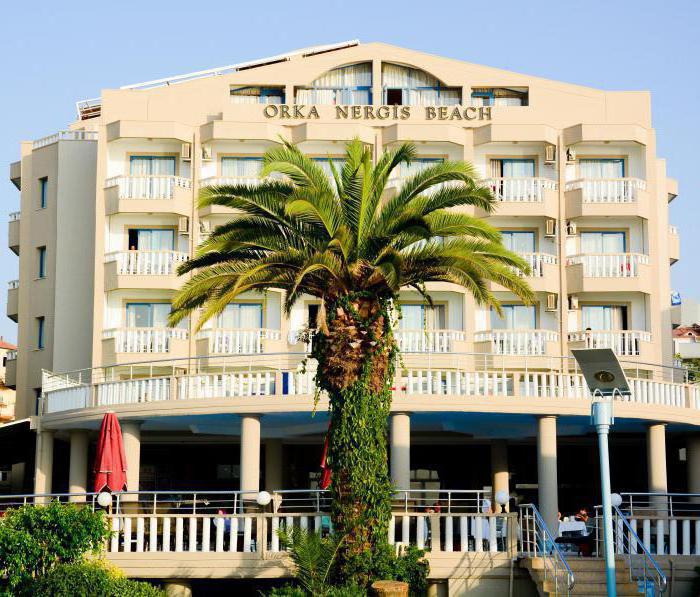 orka nergis beach hotel рестораны