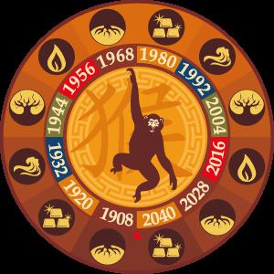 1980 год обезьяны