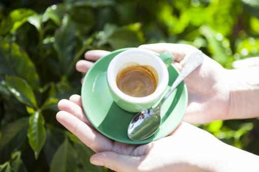 как правильно заваривать зеленый кофе