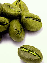 как заварить зеленый кофе для похудения