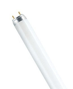 лампа osram fluora