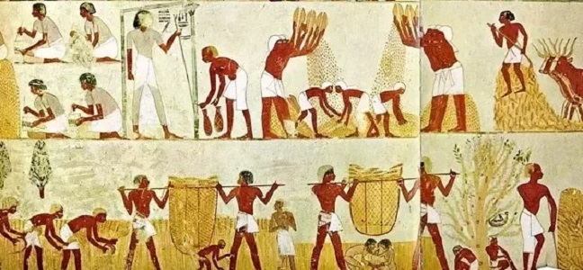 Возделывание льна в Египте