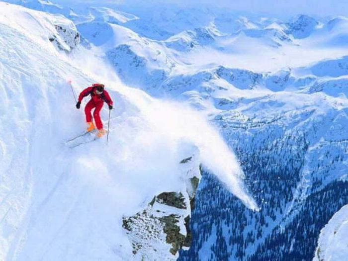лучшие горные лыжи рейтинг 