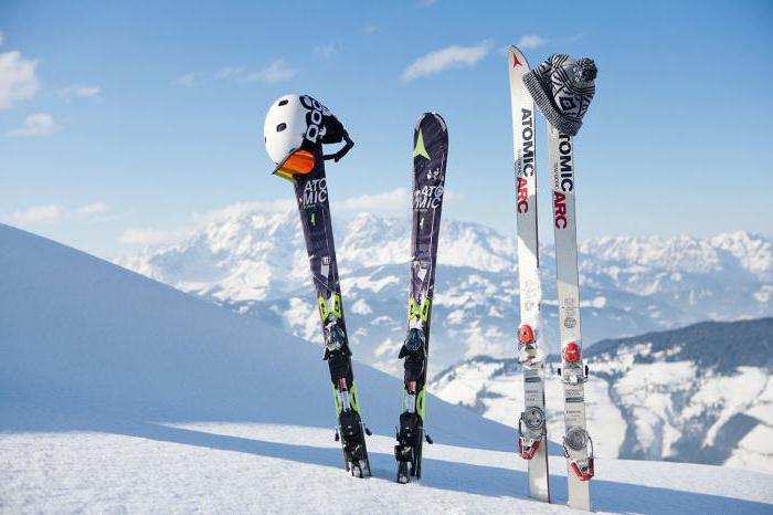 горные лыжи бренды рейтинг 