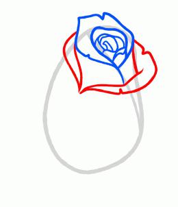как правильно рисовать розы