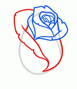 как легко рисовать розу
