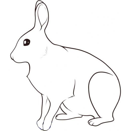 как нарисовать зайца карандашом поэтапно