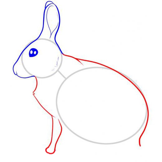 как нарисовать зайца карандашом поэтапно