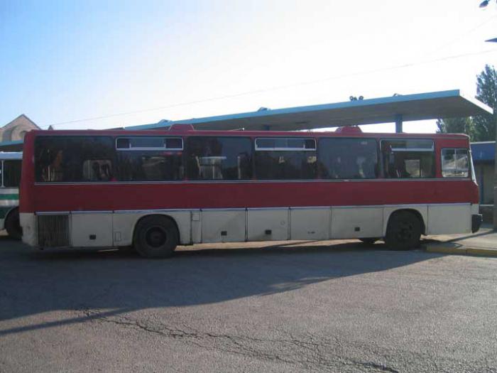 автобус икарус 250