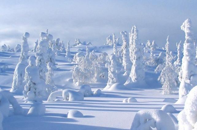 лапландия финляндия фото