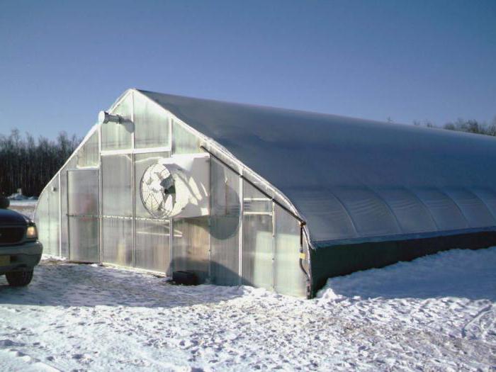 Конструкция теплицы для зимнего выращивания