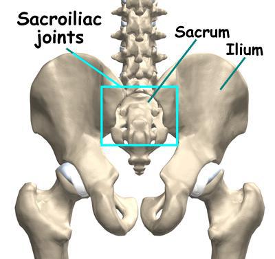 крестцово подвздошный сустав