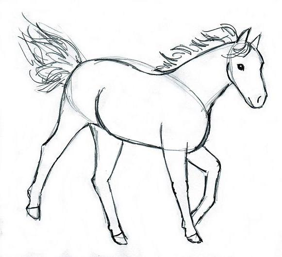 как нарисовать лошадь для начинающих