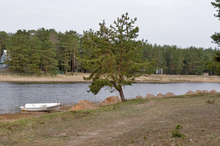озеро Липовское Ленинградская область