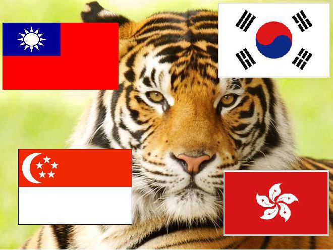  азиатские тигры страны