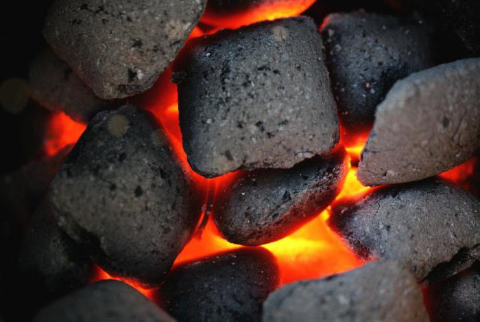 образование каменного угля кратко 