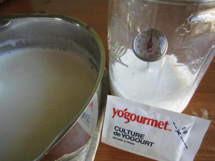 термостатный йогурт в домашних условиях 