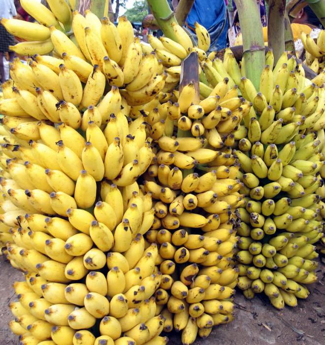 какие углеводы в бананах