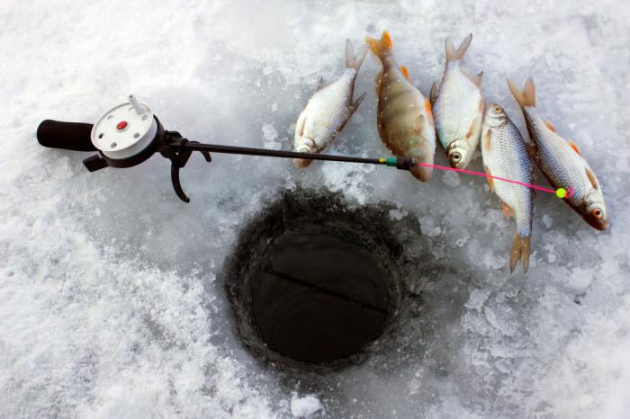 рыбалка зимой в феврале
