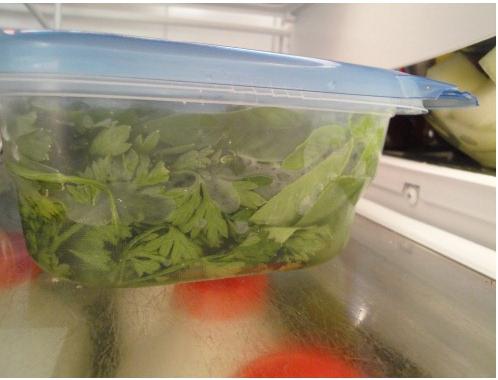 как правильно хранить зелень в холодильнике 