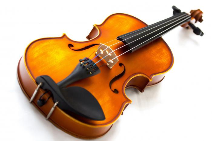 Сколько струн у скрипки