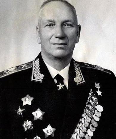 герой советского союза воронов николай николаевич 