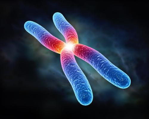 что такое хромосома