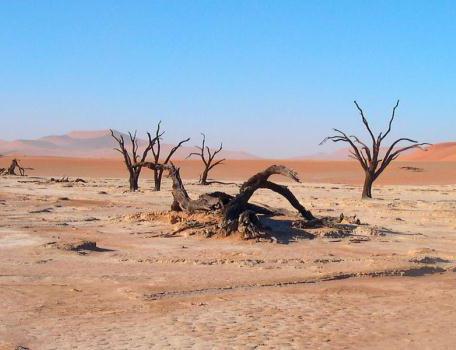 пустыня экологические проблемы