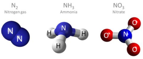 азот химический элемент