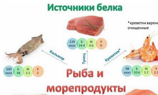 белковые продукты список таблица для похудения