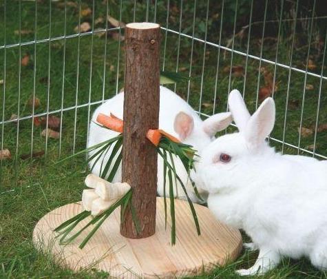 как сделать самодельные игрушки для кролика