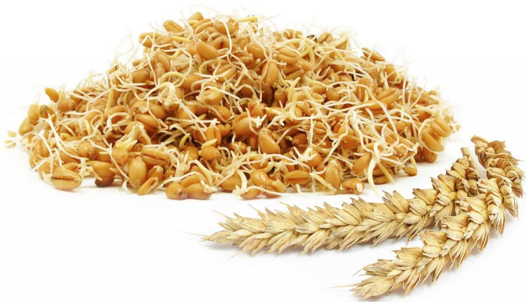 сок пророщенной пшеницы польза и вред