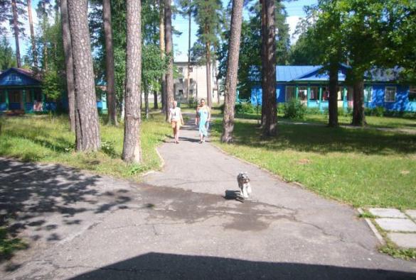 Санаторий Белое озеро Ульяновская область