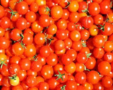 помидоры черри низкорослые сорта 