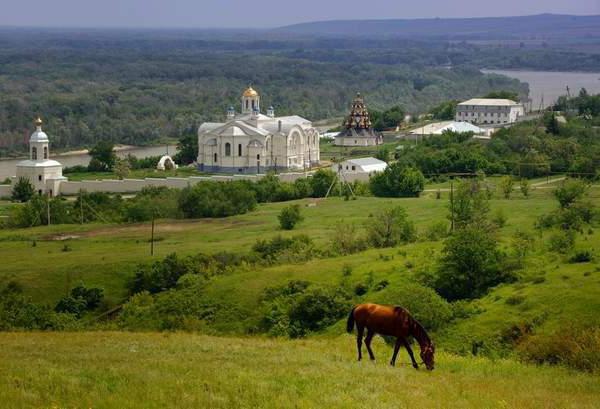 донские зори база отдыха волгоград 