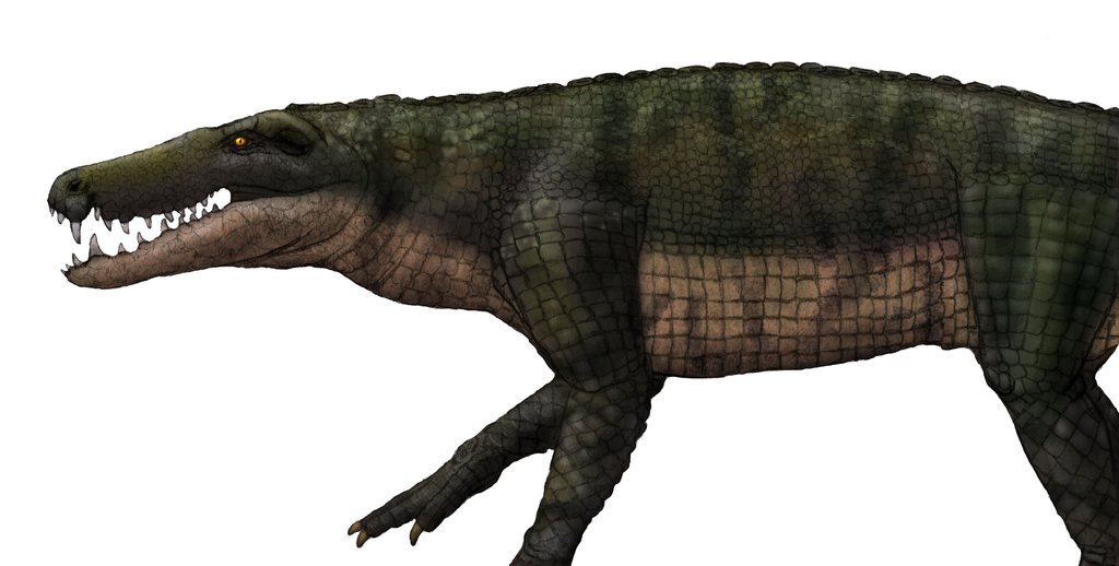 крокодилы древние животные